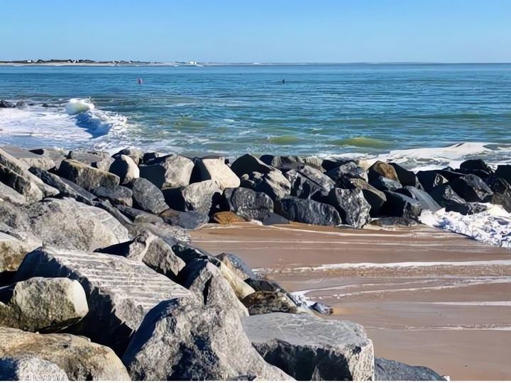 Terre de Femmes Award for Coastal Protection Projects